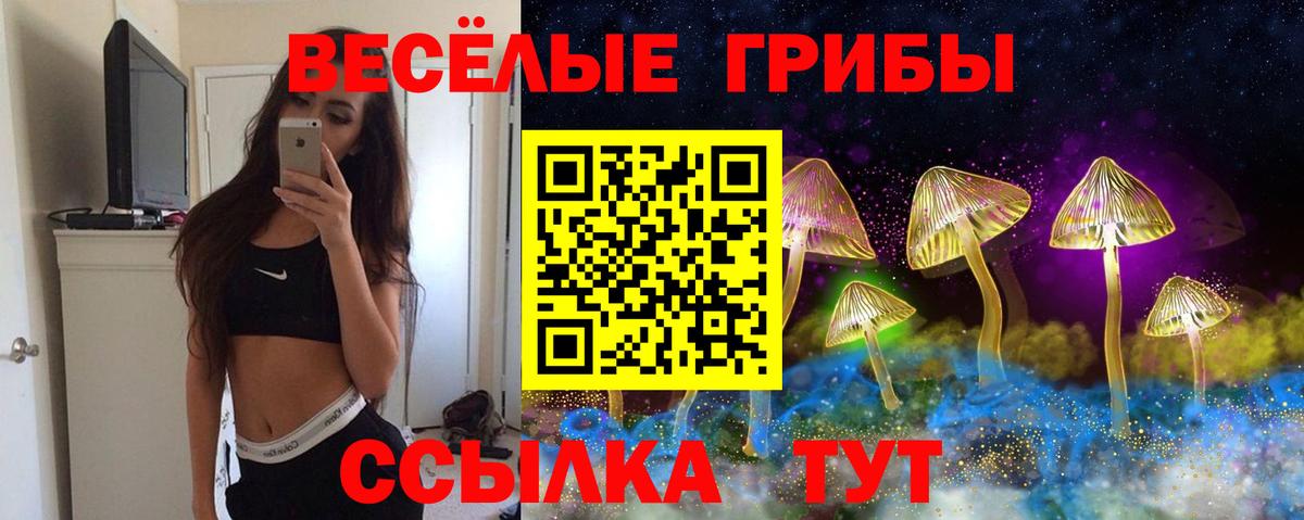 Галлюциногенные грибы Magic Shrooms Аша